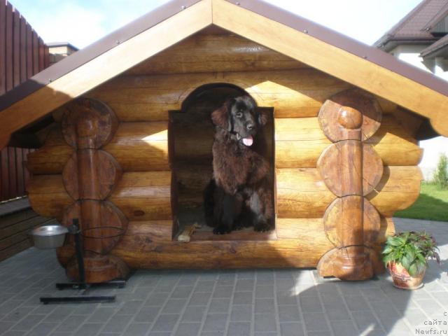 Фотография № 42809