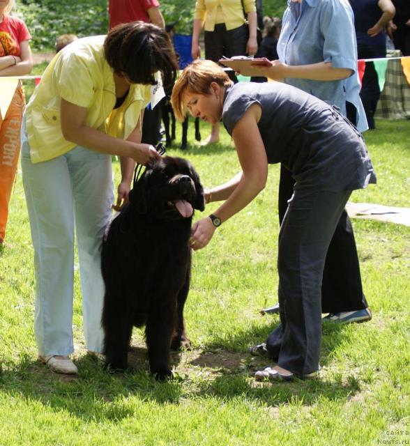 Фотография № 42818