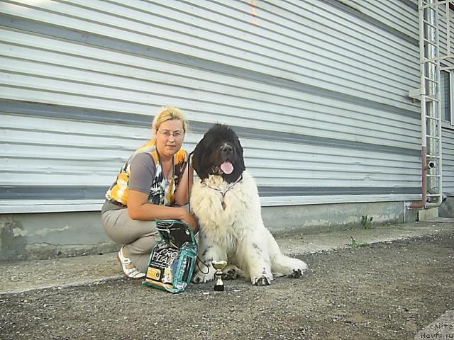 Фотография № 42823