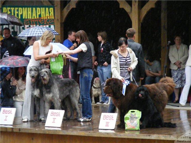 Фотография № 42862