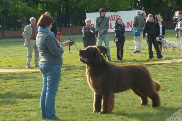 Фотография № 42878