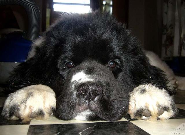 Фотография № 42891