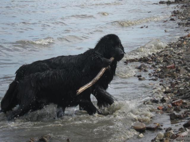 Фотография № 42916