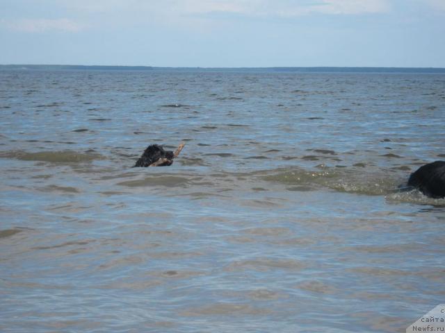 Фотография № 42918