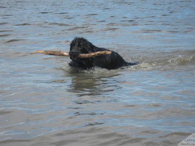 Фотография № 42919