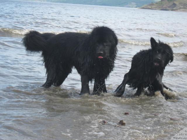 Фотография № 42922