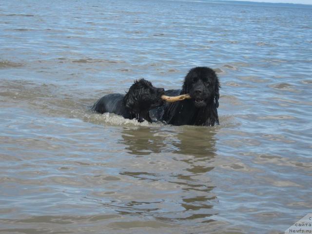 Фотография № 42927