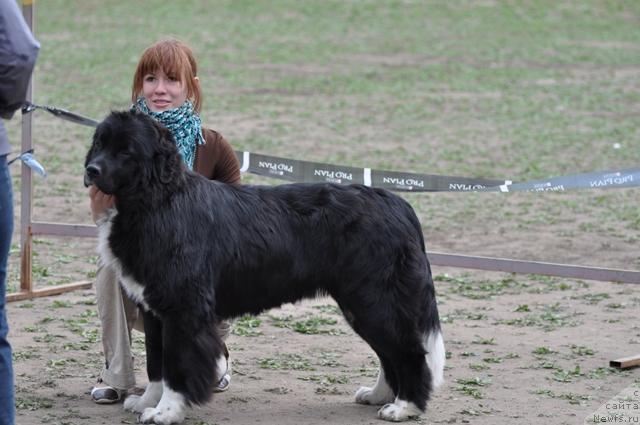 Фотография № 42928