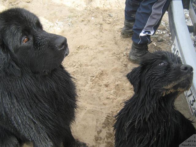 Фотография № 42931