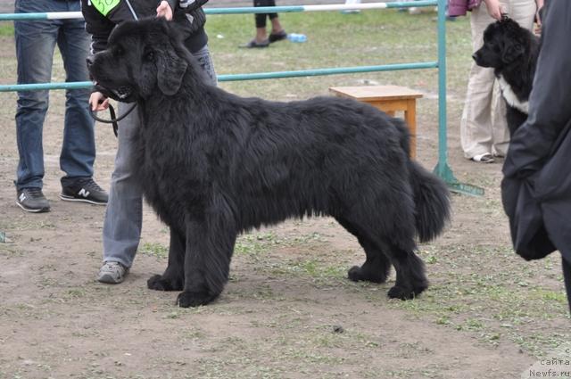 Фотография № 42932