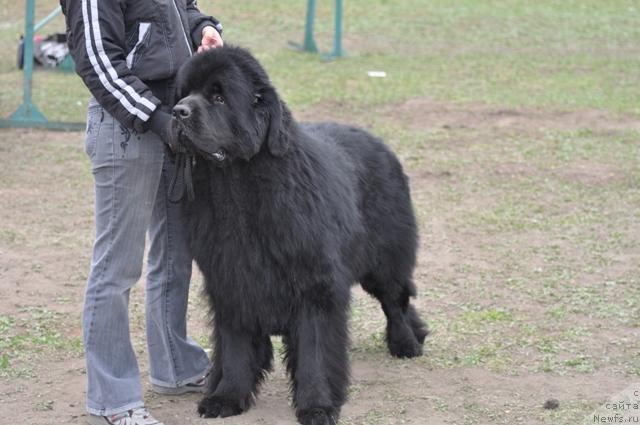 Фотография № 42937