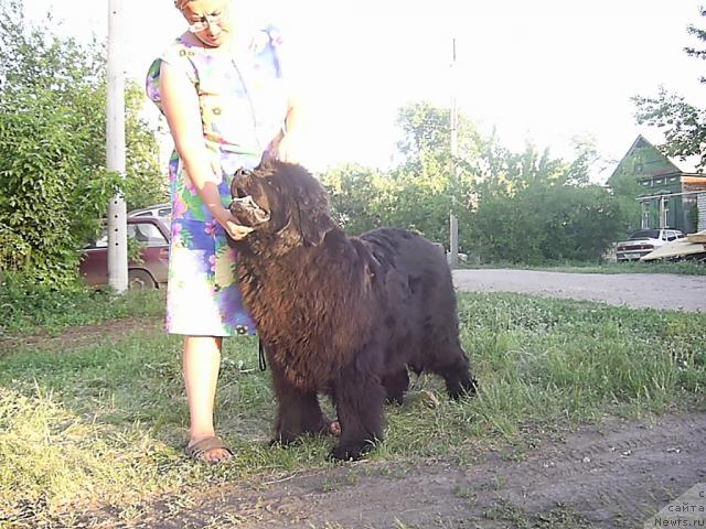 Фотография № 42987