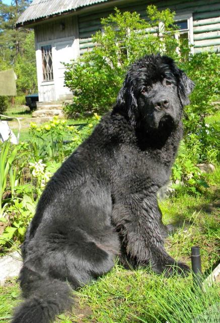 Фотография № 43025