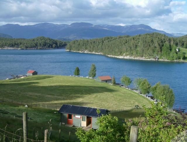 Фотография № 43053