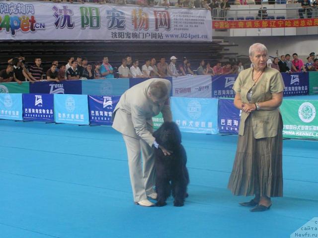 Фотография № 43064