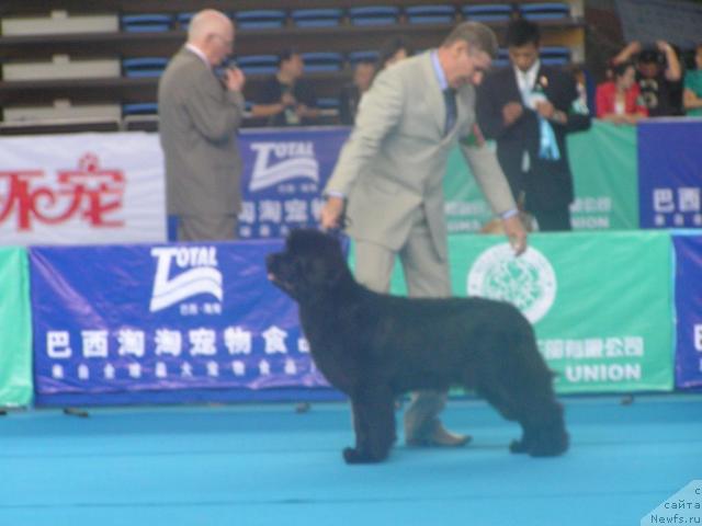 Фотография № 43065