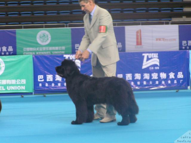 Фотография № 43073