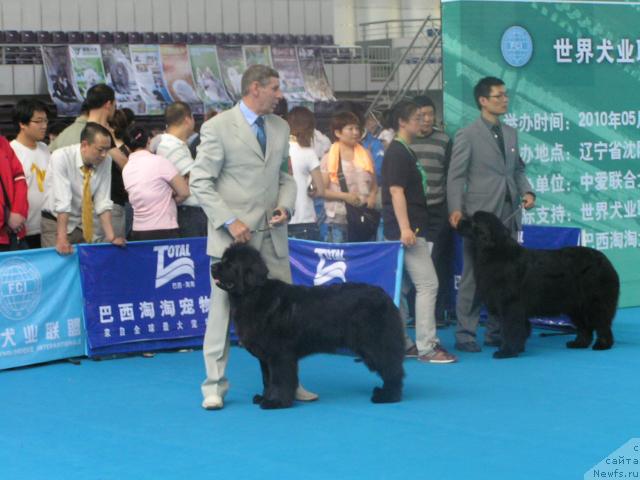 Фотография № 43074