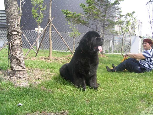 Фотография № 43078