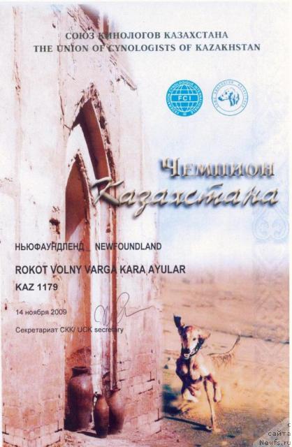 Фотография № 43079