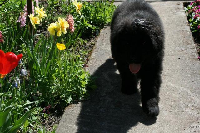 Фото: Наталия Рятсеп