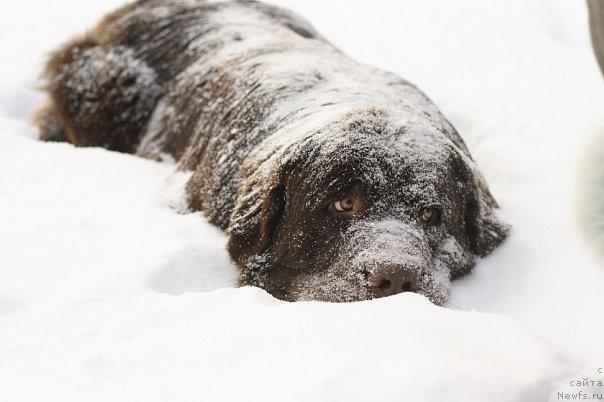 Фотография № 43090