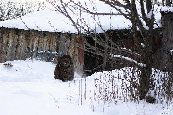 Фото: Светлана Самарцева