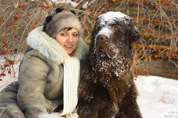 Фото: ньюфаундленд Лесная Сказка Королевский Медведь (Lesnaja Skazka Korolevskiy Medved), Светлана Самарцева