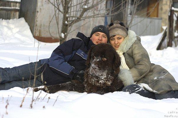 Фото: ньюфаундленд Лесная Сказка Королевский Медведь (Lesnaja Skazka Korolevskiy Medved), Дмитрий Самарцев, Светлана Самарцева