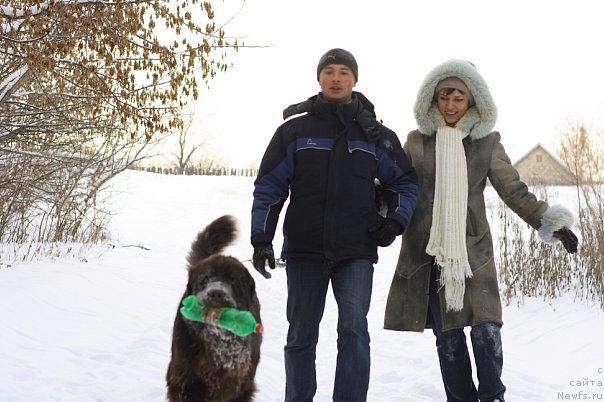 Фото: ньюфаундленд Лесная Сказка Королевский Медведь (Lesnaja Skazka Korolevskiy Medved), Дмитрий Самарцев, Светлана Самарцева