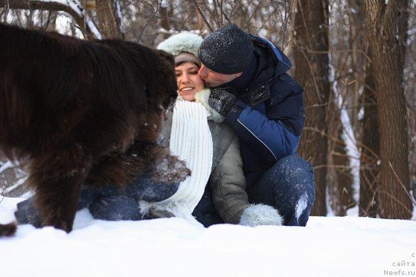 Фото: ньюфаундленд Лесная Сказка Королевский Медведь (Lesnaja Skazka Korolevskiy Medved), Дмитрий Самарцев, Светлана Самарцева