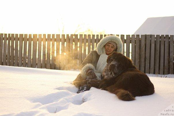 Фото: ньюфаундленд Лесная Сказка Королевский Медведь (Lesnaja Skazka Korolevskiy Medved), Светлана Самарцева