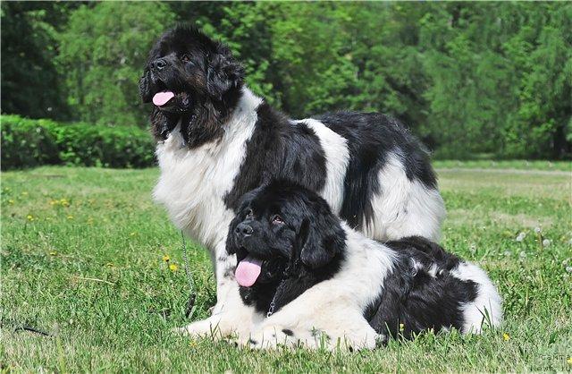 Фотография № 43128