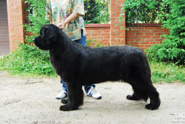 Фотография № 4315