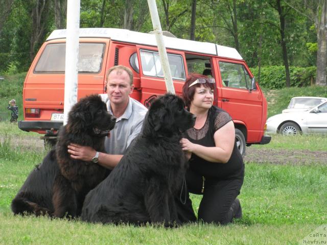 Фото: ньюфаундленд Златобор Богатырь Кара Дениз (Zlatobor Bogatyr Kara Deniz), ньюфаундленд Ассоль Анжелика (Assol Anjelika)