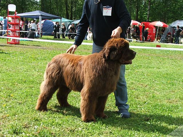 Фотография № 43182