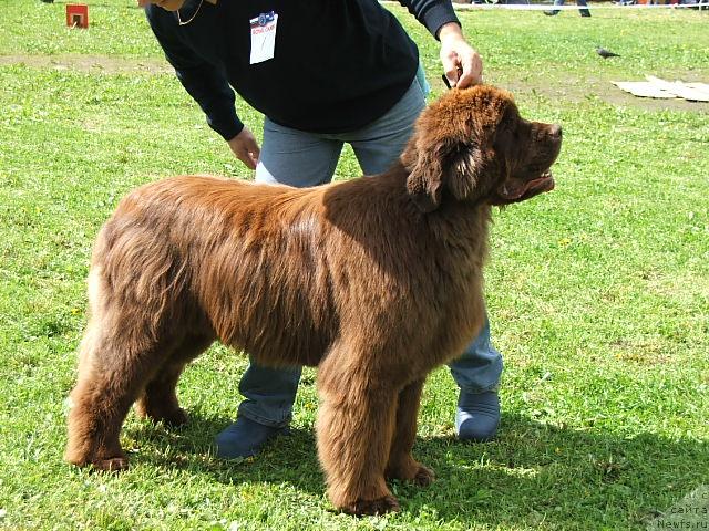 Фотография № 43184