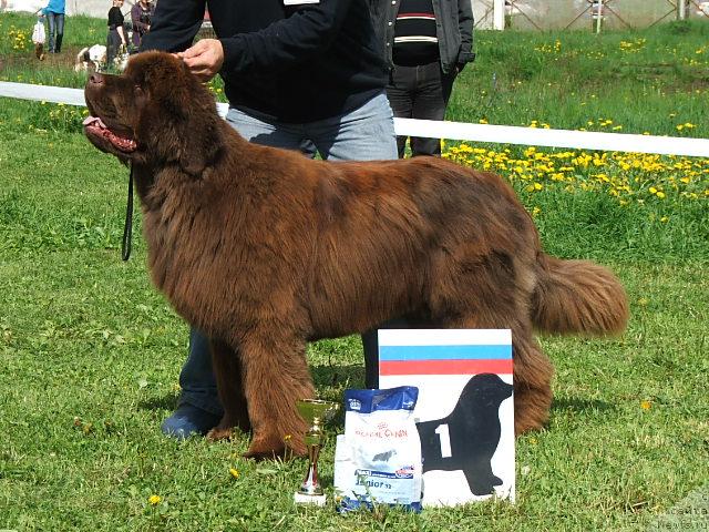 Фотография № 43185