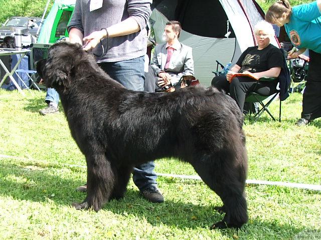 Фотография № 43188