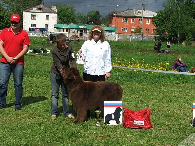 Фотография № 43194