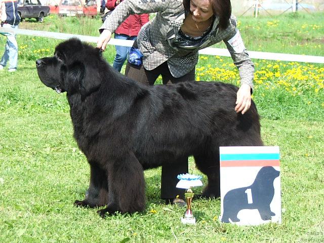 Фотография № 43196