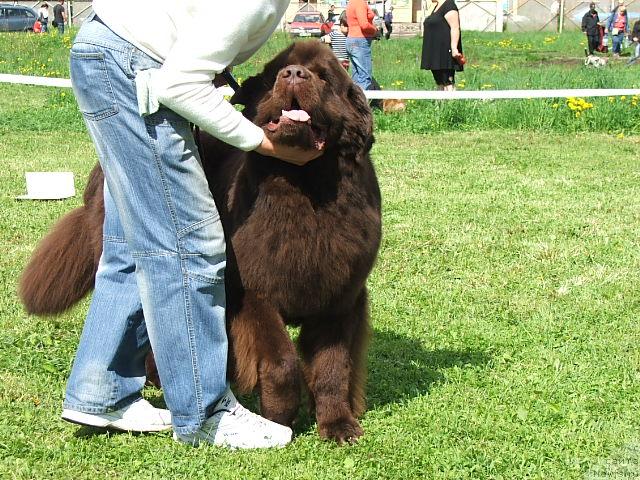 Фотография № 43197