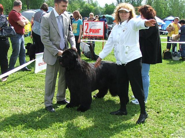 Фотография № 43200