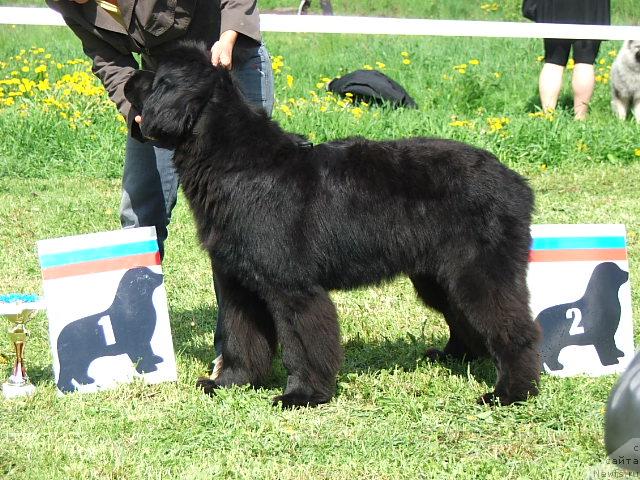 Фотография № 43202