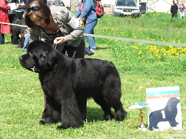 Фотография № 43203