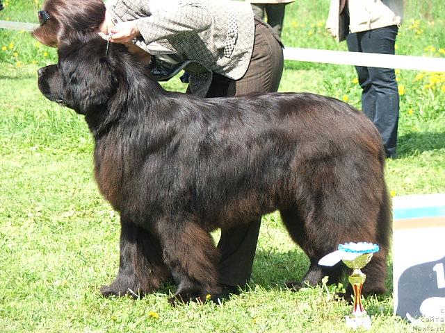 Фотография № 43204