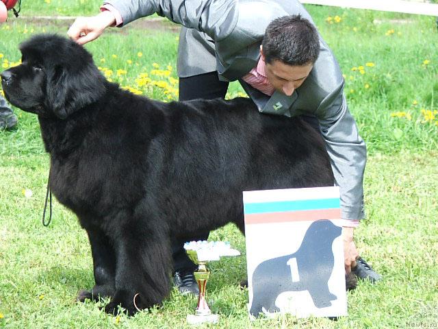 Фотография № 43205