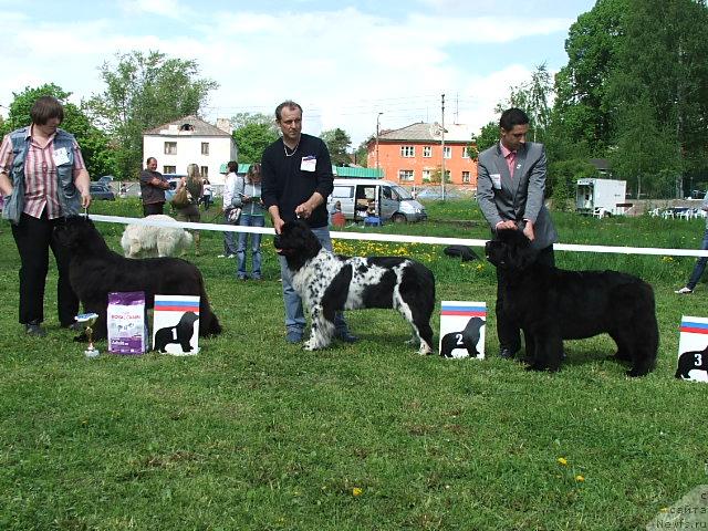 Фотография № 43208