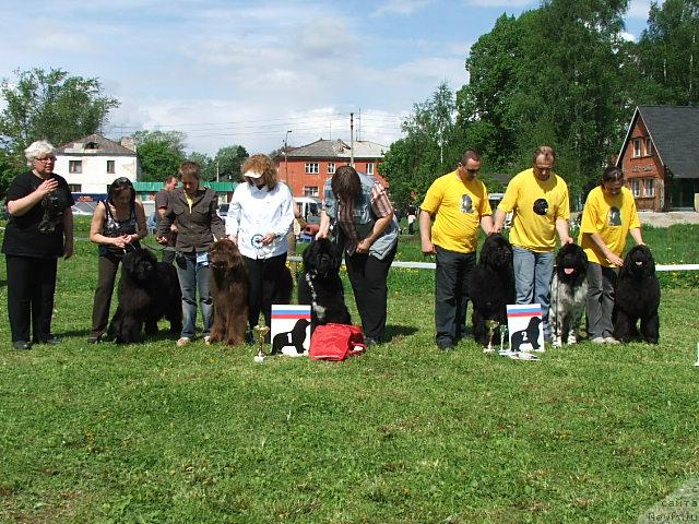 Фотография № 43211