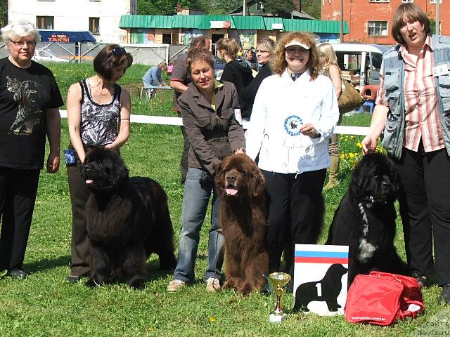 Фотография № 43213